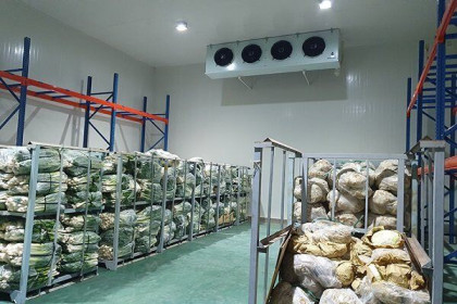 Thiếu kho lạnh trữ hàng vì nhu cầu 'đi chợ' trực tuyến gia tăng
