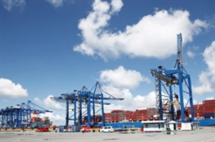 Tân Cảng Logistics dự chi cổ tức 2020 tỷ lệ 50%
