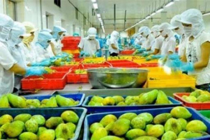 Doanh nghiệp xuất khẩu Việt Nam vẫn "bình yên" khi không còn ưu đãi GSP
