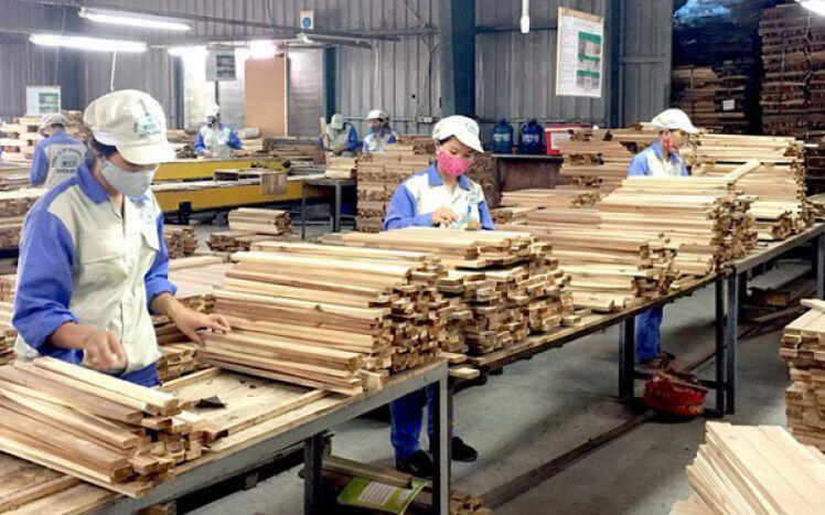 Xuất khẩu gỗ tăng trưởng nhanh tiềm ẩn nhiều rủi ro