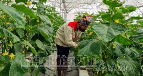 Tỉnh Điện Biên hỗ trợ doanh nghiệp nhỏ và vừa