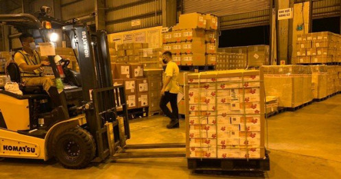 Vải thiều Bắc Giang đi 'siêu tàu bay' cập cảng hàng không Nhật Bản