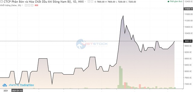 PSE đặt kế hoạch lãi sau thuế 2021 giảm 27%