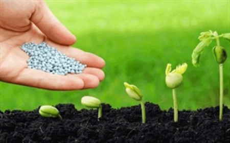 PSE đặt kế hoạch lãi sau thuế 2021 giảm 27%