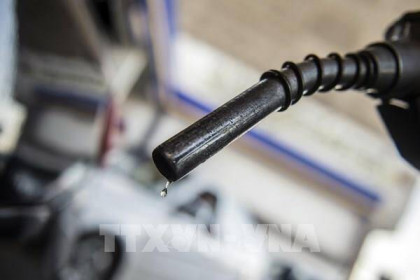 Giá dầu châu Á tiếp tục giảm trong phiên chiều 8/6 