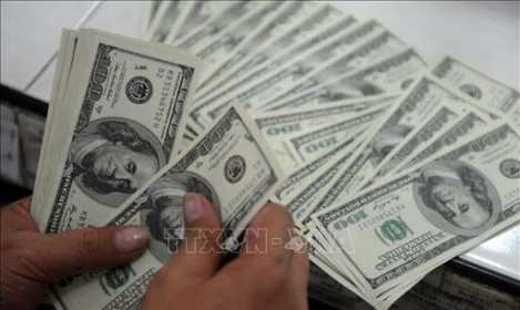 Ngân hàng Nhà nước điều chỉnh giảm mạnh giá mua vào đô la Mỹ
