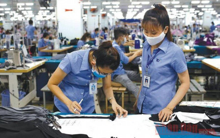 Dệt may chưa tận dụng triệt để ưu đãi thuế quan sang EU theo EVFTA