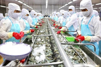 Cơ hội nào cho thuỷ sản Việt từ làn sóng Covid-19 mới?