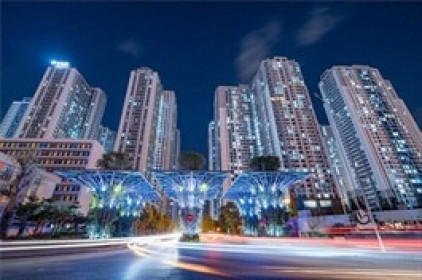 TN1 chuẩn bị trả cổ tức bằng cổ phiếu tỷ lệ 45%