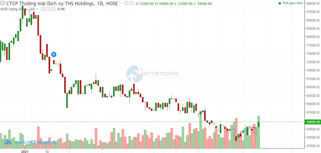 TN1 chuẩn bị trả cổ tức bằng cổ phiếu tỷ lệ 45%