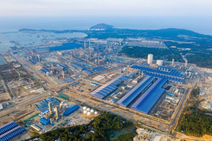 Vi phạm pháp luật đất đai nghiêm trọng tại Khu kinh tế Dung Quất, trách nhiệm của Chủ tịch huyện Bình Sơn ở đâu?
