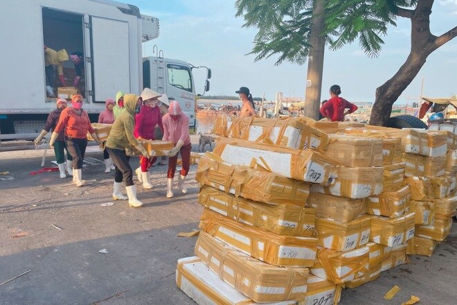 Doanh nghiệp mất tiền tỷ vì không thể xuất khẩu hải sản sang Trung Quốc