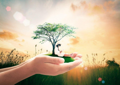 Thị trường tài chính 24h: Chứng khoán có phiên tốt nhất trong gần 4 tháng