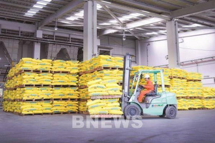 Tiêu thụ phân bón NPK Phú Mỹ tăng gần gấp đôi so với cùng kỳ