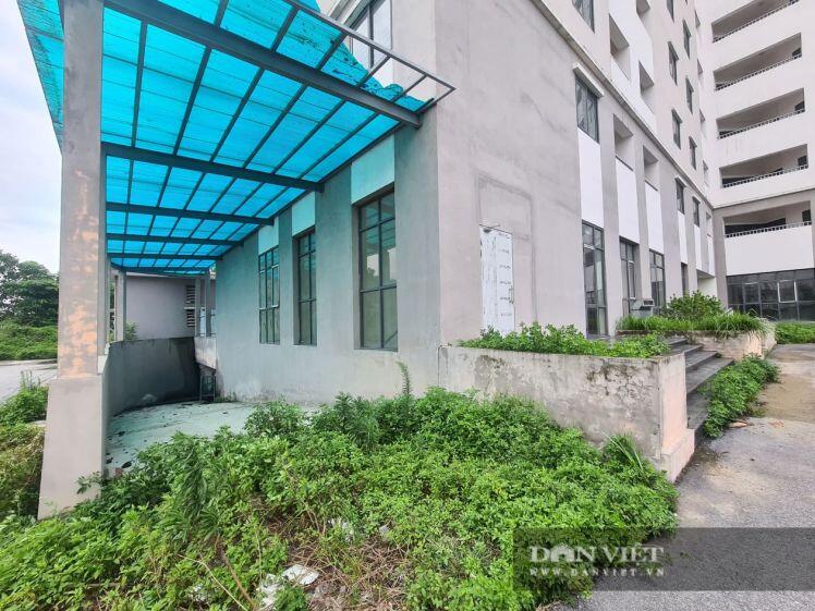 Cám cảnh khu nhà tái định cư ở Hà Nội không một ai ở, xây xong để.... nuôi gà, vịt