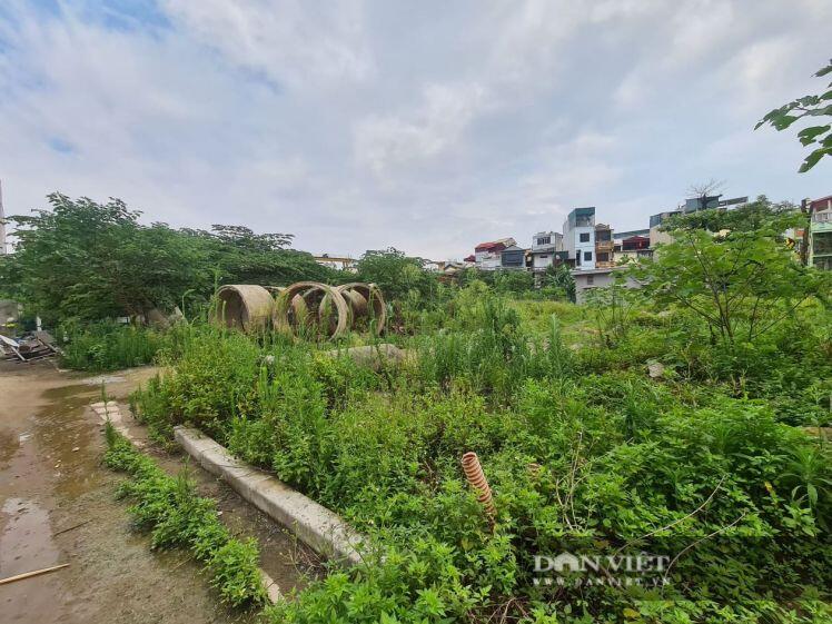 Cám cảnh khu nhà tái định cư ở Hà Nội không một ai ở, xây xong để.... nuôi gà, vịt