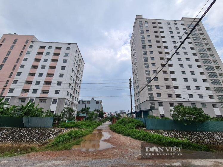 Cám cảnh khu nhà tái định cư ở Hà Nội không một ai ở, xây xong để.... nuôi gà, vịt