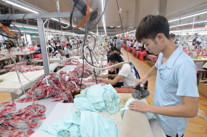 Cổ phiếu cần quan tâm ngày 14/6: MSH, PVT, BVH, CTR