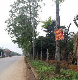 Thị trường bất động sản phía Bắc: Đất nền quay đầu giảm giá trên diện rộng