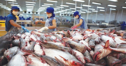 Vì sao ngành thủy sản càng xuất khẩu càng lỗ?