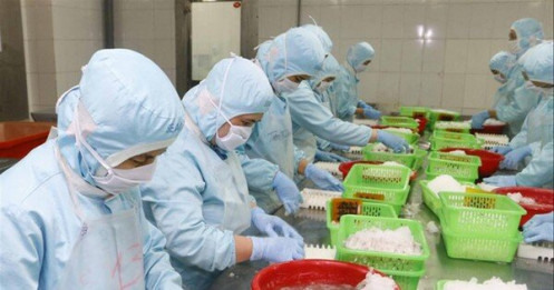 Phí chồng phí... "đè" DN xuất khẩu thủy sản