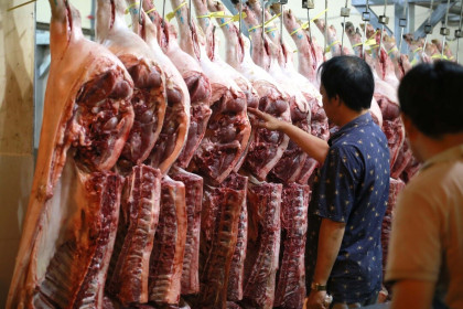 Giá heo hơi hôm nay 16.6.2021: 'Ông lớn' C.P giảm dưới mốc 65.000 đồng/kg