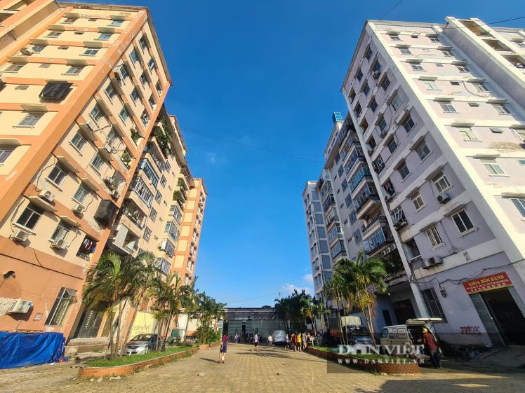 Xót xa cảnh nhà tái định cư ở Hà Nội xây xong rồi bỏ hoang