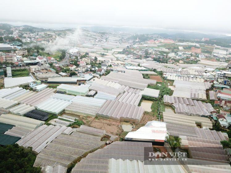 Lâm Đồng: Giá thuê đất nông nghiệp "trên trời" khiến nhà đầu tư “e ngại”