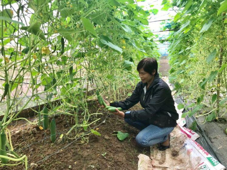 Hà Nội gỡ rào cản đầu tư vào nông nghiệp