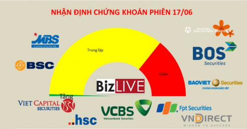 Nhận định chứng khoán 17/6: Dòng tiền sẽ vẫn ưu tiên Midcap và Penny