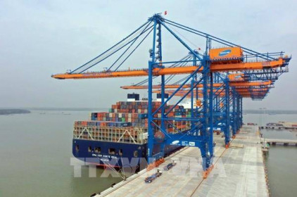 Hàng container qua cảng biển Việt Nam vẫn giữ đà tăng trưởng