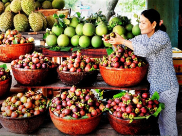 Giá thực phẩm rau củ quả ngày 16/6: Tiếp tục duy trì đà giảm