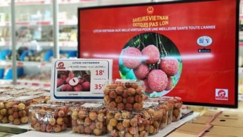 Vải thiều Việt Nam được ưa chuộng, doanh nghiệp Pháp đẩy nhanh nhập khẩu lô thứ 2