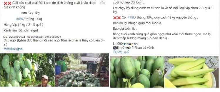 Nông sản rớt giá, nông dân miền Tây 'khóc thét' vì giá xoài, mít chỉ còn 2.000-3.000 đồng/kg