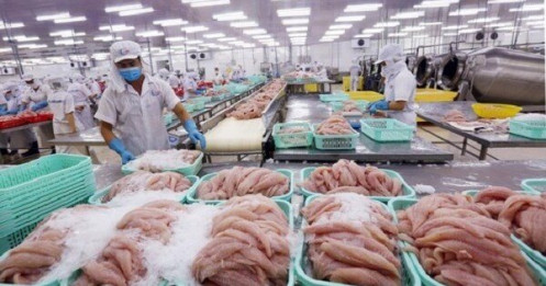 Xuất khẩu thủy sản: Trong "nguy" có "cơ"