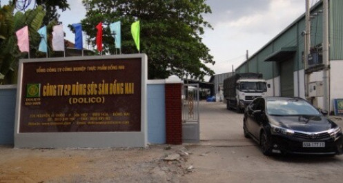 Lãi lớn từ bán heo thịt, Dolico tăng mức chia cổ tức lên gần 123%