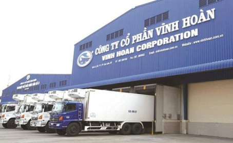 Tận dụng sóng tăng, nhiều lãnh đạo Vĩnh Hoàn (VHC) đăng ký bán cổ phiếu