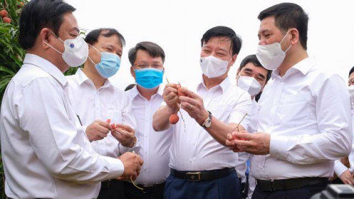 Tiêu thụ nông sản mùa Covid: Hiệu quả từ những quyết sách kịp thời