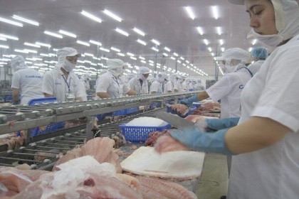 Tiếp tục khả quan, xuất khẩu thủy sản có thể vượt 8,8 tỉ đô la Mỹ