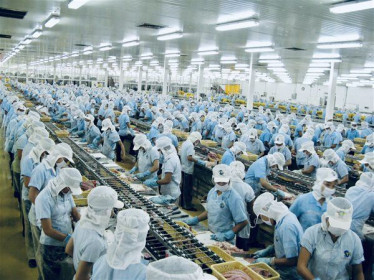 Doanh nghiệp thủy sản ĐBSCL 'căng mình' trước tác động của Covid-19