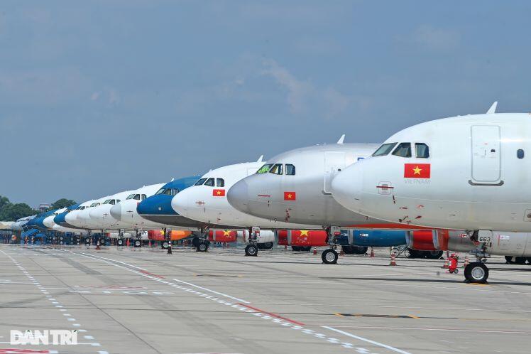 Ám ảnh hàng trăm tàu bay 'đắp chiếu' nằm la liệt tại Cảng Nội Bài, Tân Sơn Nhất