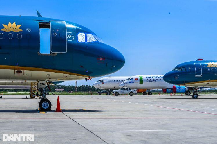 Ám ảnh hàng trăm tàu bay 'đắp chiếu' nằm la liệt tại Cảng Nội Bài, Tân Sơn Nhất