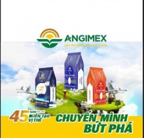 Sau M&A, Xây dựng và Đầu tư Trường Giang (TGG) muốn đổi tên thành Louis Capital