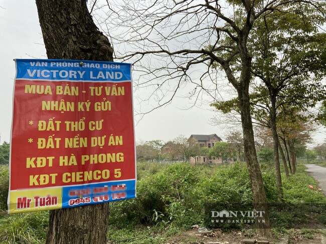 Sốt đất hạ nhiệt: Dòng tiền cho vay bất động sản chậm lại, chứng khoán “hút” 47.000 tỷ đồng