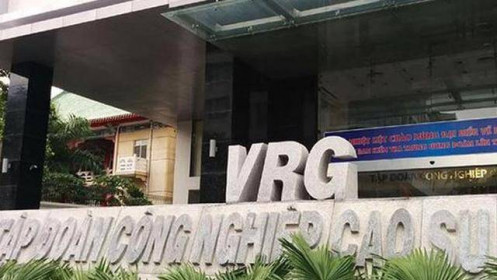 GVR lên kế hoạch lợi nhuận thụt lùi, giảm 11% năm 2021