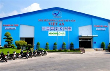Tổng Giám đốc AVF bị tạm giam