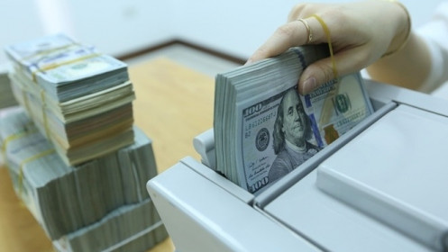 Tỷ giá USD hôm nay 23/6: Mất đà tăng