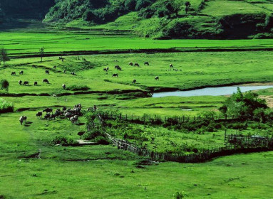 Kon Tum kêu gọi đầu tư thực hiện 2 dự án sân golf