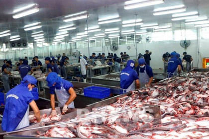 Cổ phiếu thủy sản bước vào giai đoạn phục hồi?