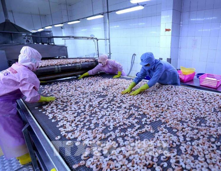 Cổ phiếu thủy sản bước vào giai đoạn phục hồi?
